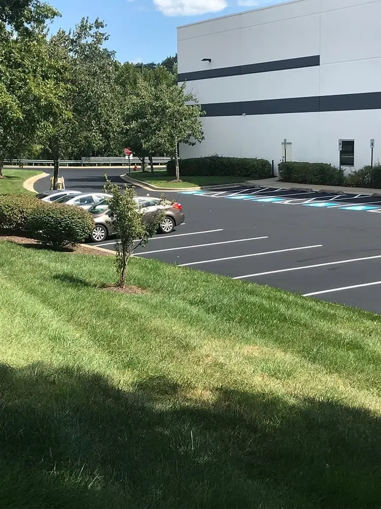 Commercial parking lot with fresh line striping in front of an office building